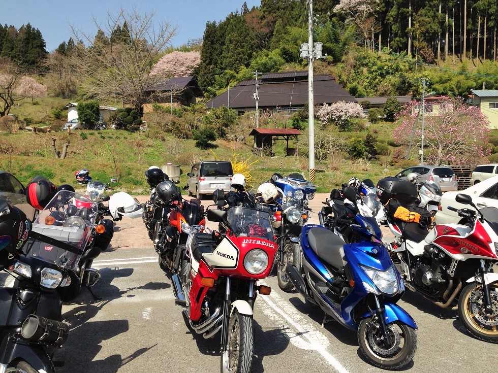 2015 サクラサク まるせいツーリング_c0261447_111891.jpg