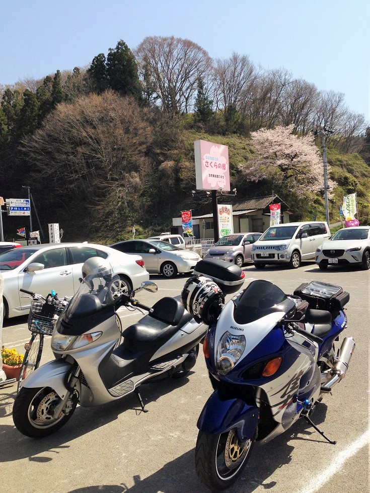 2015 サクラサク まるせいツーリング_c0261447_14156.jpg