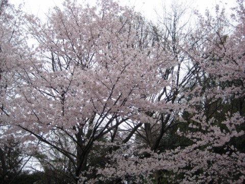 c0226353_14343844.jpg