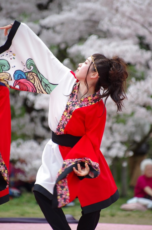 京都さくらよさこい２０１５一日目その３６（コモンビートその１）_a0009554_11544524.jpg