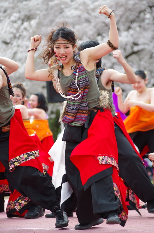 京都さくらよさこい２０１５一日目その３６（コモンビートその１）_a0009554_11583771.jpg