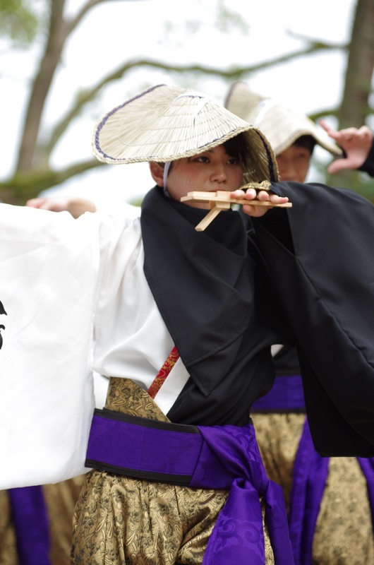 京都さくらよさこい２０１５一日目その４１（かんしゃら）_a0009554_2327796.jpg