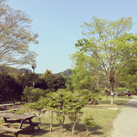 ◆房総望遠鏡行脚 その② 〜白浜フラワーパーク_b0008655_15304534.jpg