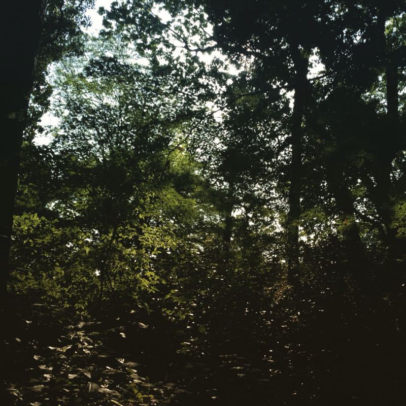 d0178257_21709.jpg