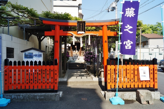 満開のノダフジを求めて大阪・福島区野田散歩(2)野田・春日神社_b0063958_0541354.jpg