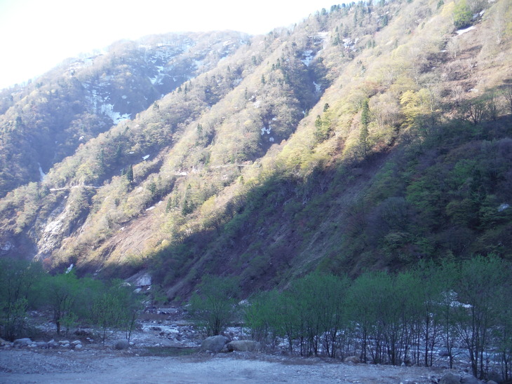 d0249266_1839589.jpg