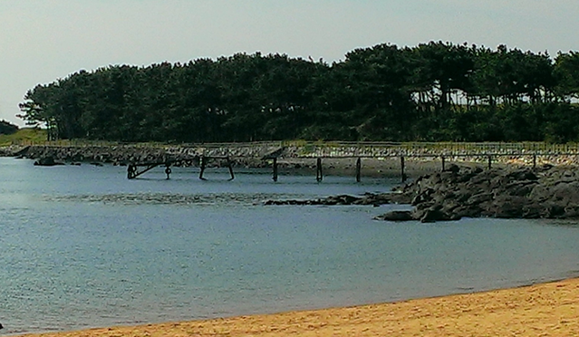 a0079474_1092277.png
