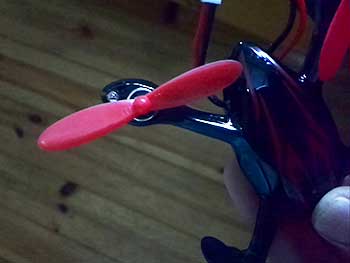 b0003483_1161375.jpg