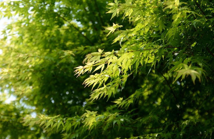 b0168993_946263.jpg