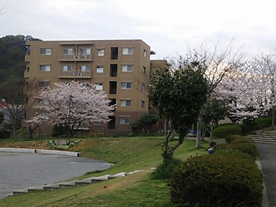 c0128896_16593670.jpg