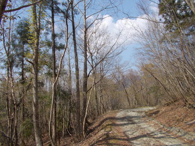 f0308898_21792.jpg
