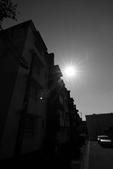 a0017909_17311229.jpg