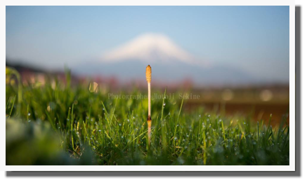 ２０１５年ＧＷ　富士山と山中湖周辺_d0160611_20040861.png