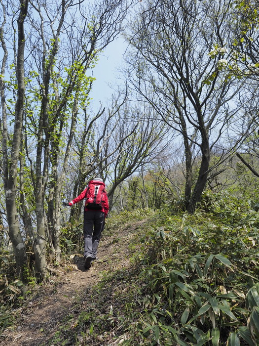 大江高山登山_c0116915_0113146.jpg