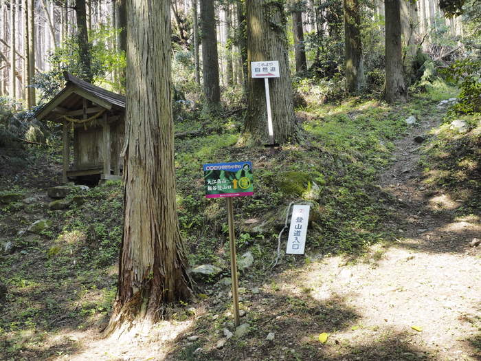 大江高山登山_c0116915_0192053.jpg