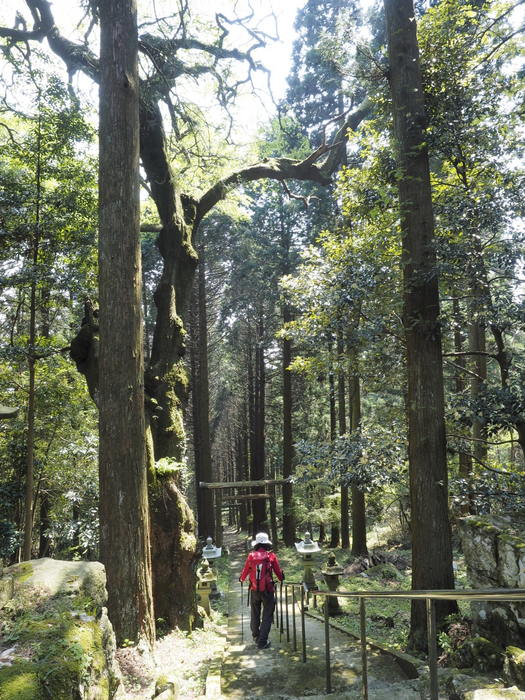 大江高山登山_c0116915_0224426.jpg
