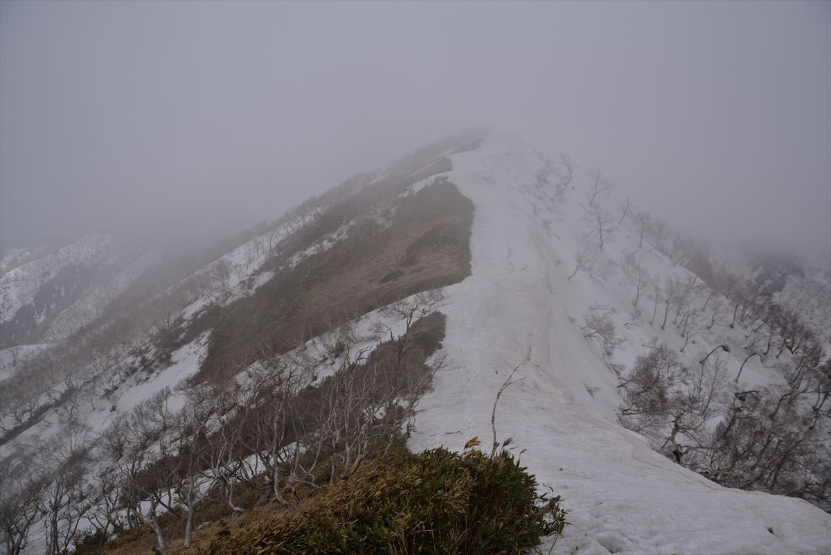 【3連敗】 トヨニ岳で強風撤退　2015.4.26_a0145819_82753.jpg