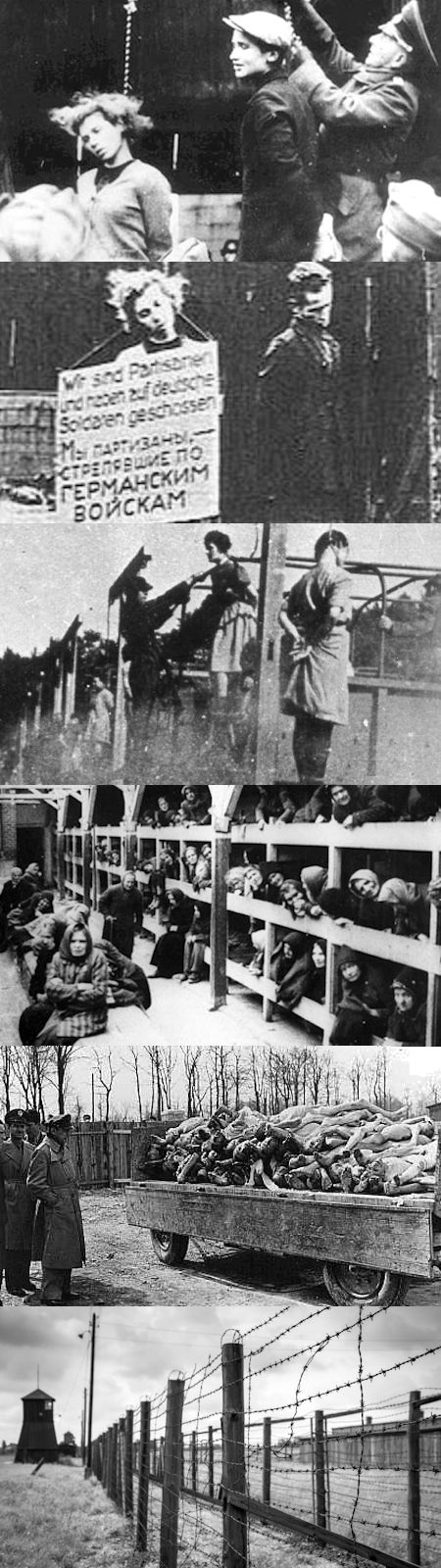 「結末を考えよ」 - ニーメラーの教訓と弱すぎる戦争への危機感_c0315619_14582722.jpg