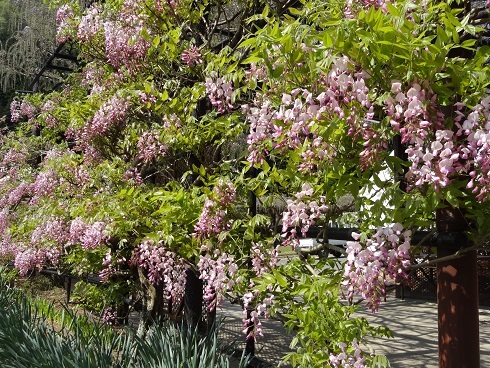 f0000521_20531180.jpg