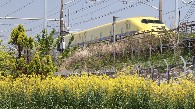 d0240223_14603.jpg
