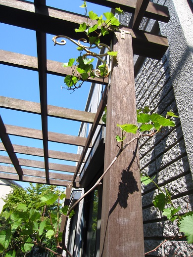 f0002833_19592952.jpg