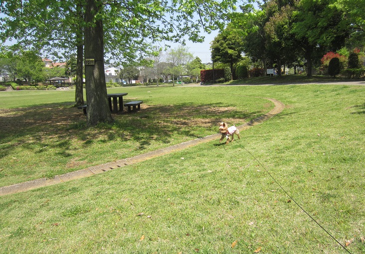 f0002833_2065358.jpg