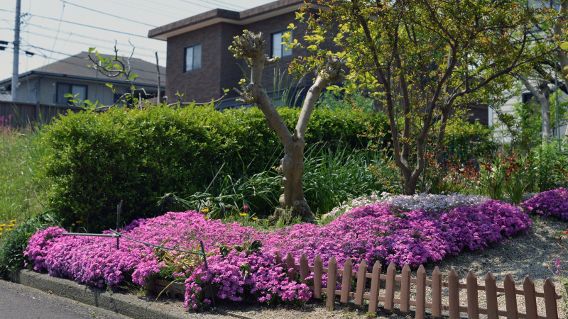 高松町 村中邸 庭園 ③_d0246136_23525665.jpg
