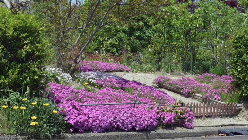 高松町 村中邸 庭園 ③_d0246136_23533398.jpg