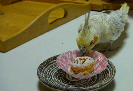 a0056140_21493723.gif