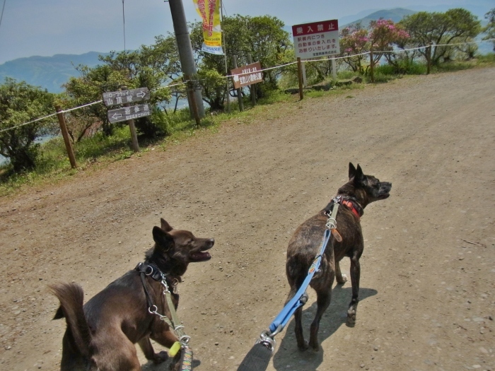 秩父長瀞＆宝登山を満喫(^_^)_e0249240_21320928.jpg