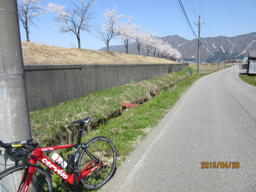 f0279343_0335719.jpg
