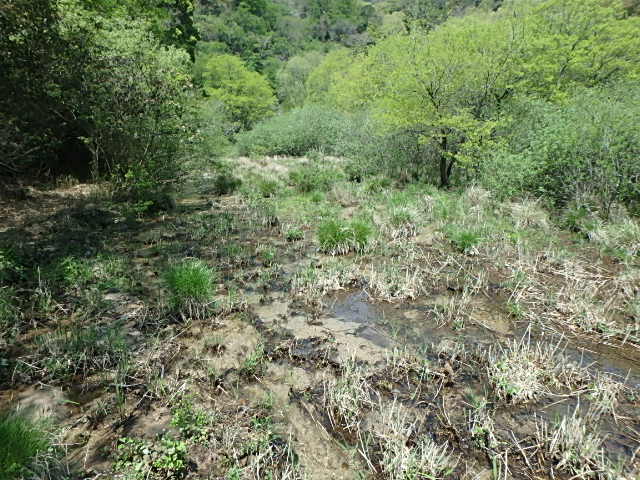 f0334143_8455363.jpg