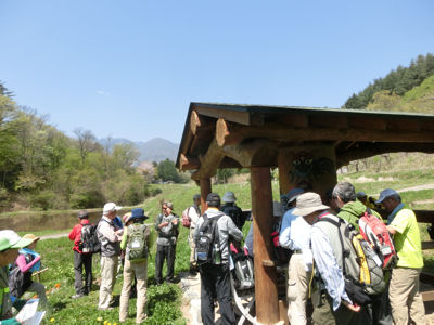 我が町シリーズ白州（横手）　花と緑の里山！　_f0019247_22155576.jpg