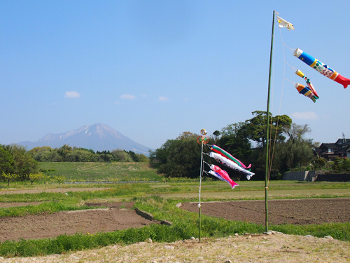 naginobori_f0108347_7111237.jpg