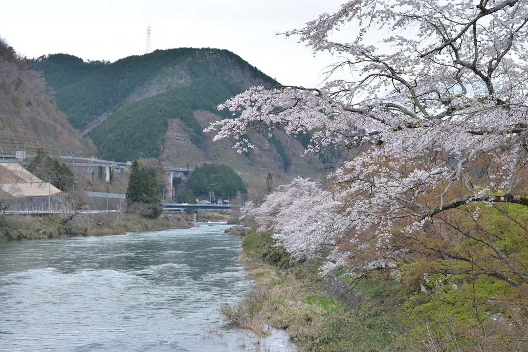 a0055650_05496.jpg