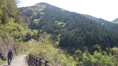 b0148050_84015.jpg