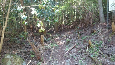 b0148050_841140.jpg