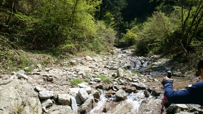 b0148050_842332.jpg