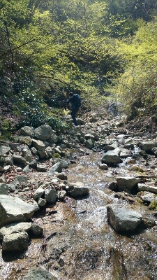 b0148050_843880.jpg