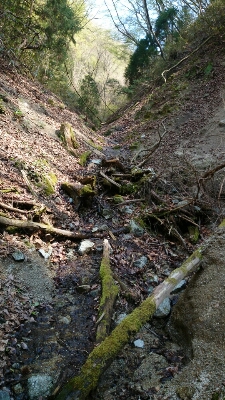 b0148050_86188.jpg
