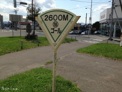 とにかく動きましょう~_e0326953_18173996.jpg