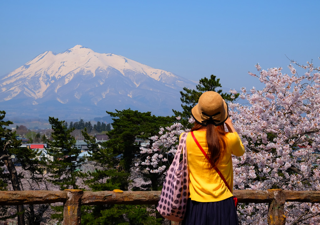 2015　弘前の桜No.2_f0038653_21341888.jpg