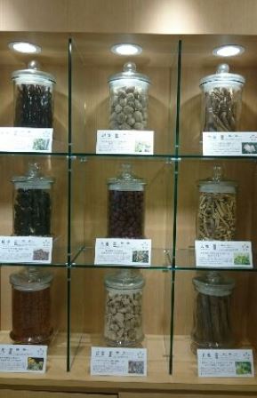 漢方ミュージアムへ_d0173654_10344469.jpg