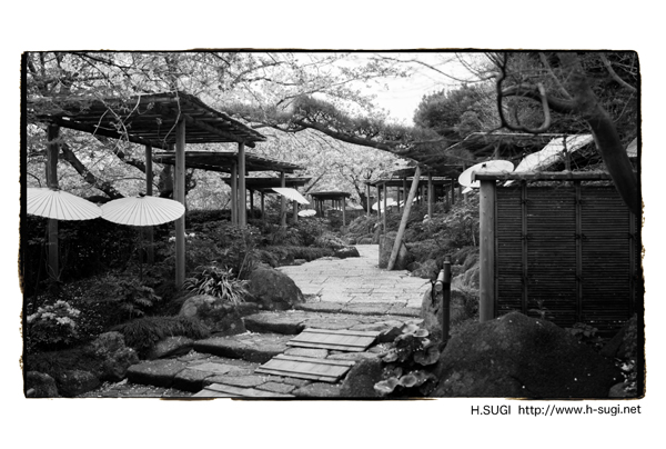 旅、_d0164755_19494482.jpg
