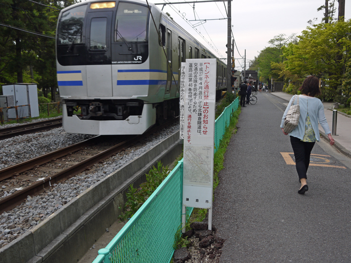 通勤・通学の混雑、交通事故発生の懸念：北鎌倉緑の洞門通行禁止_c0014967_11145078.jpg