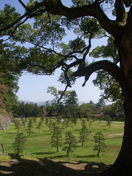 山陰旅行・3日め～松江城、島根県立美術館_e0153367_2124463.jpg