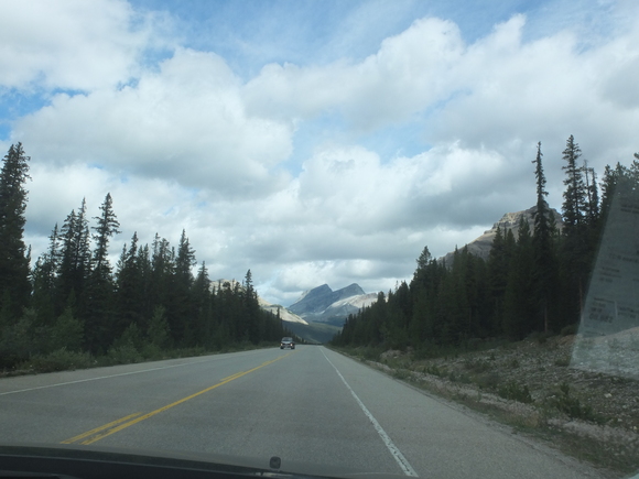 d0193569_11223671.jpg