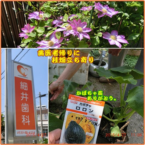 選挙速報で寝不足　いよいよ夏野菜本番に入ります。_d0007071_20362415.jpg