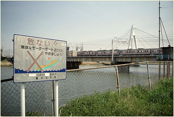 b0340572_2025569.jpg