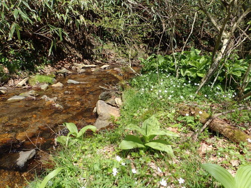 f0348480_07523531.jpg